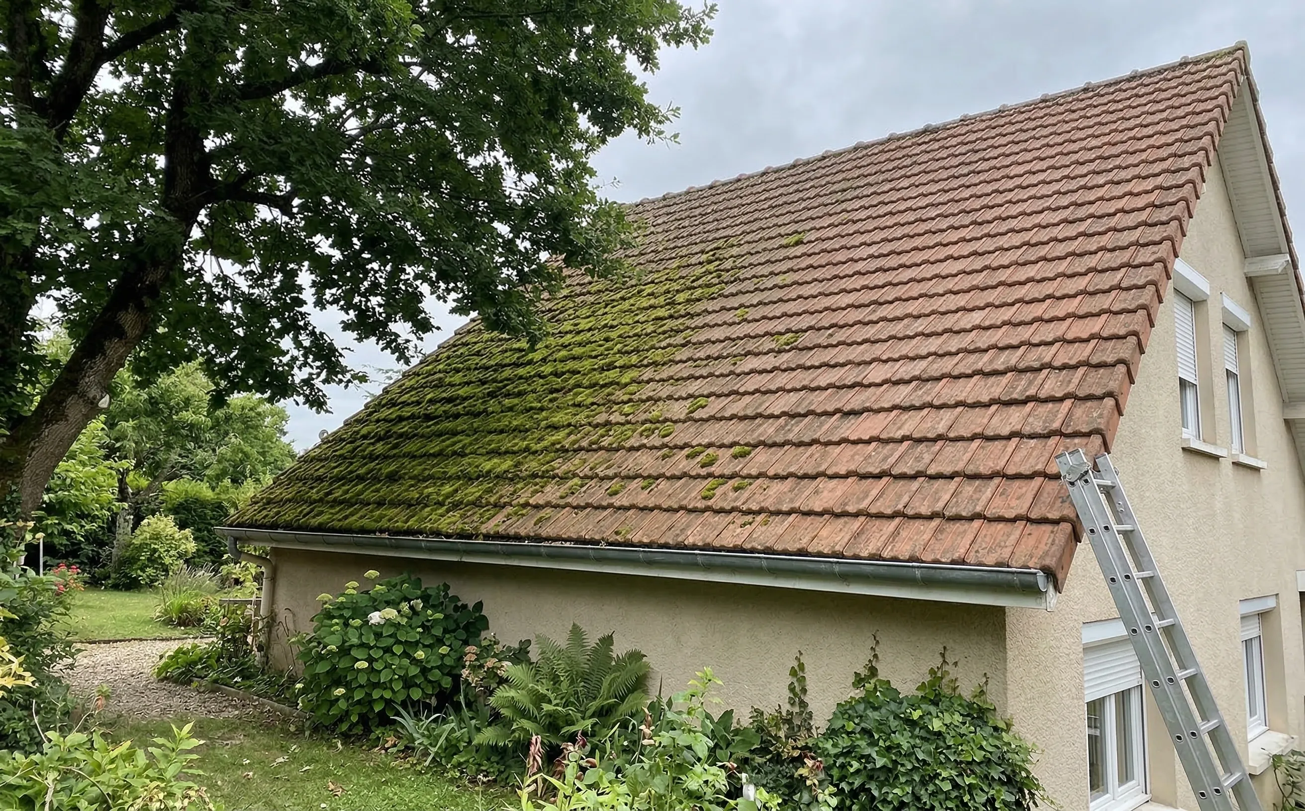Contraste entre versant nord couvert de mousse verte et versant sud propre sur un même toit de pavillon à Pessac