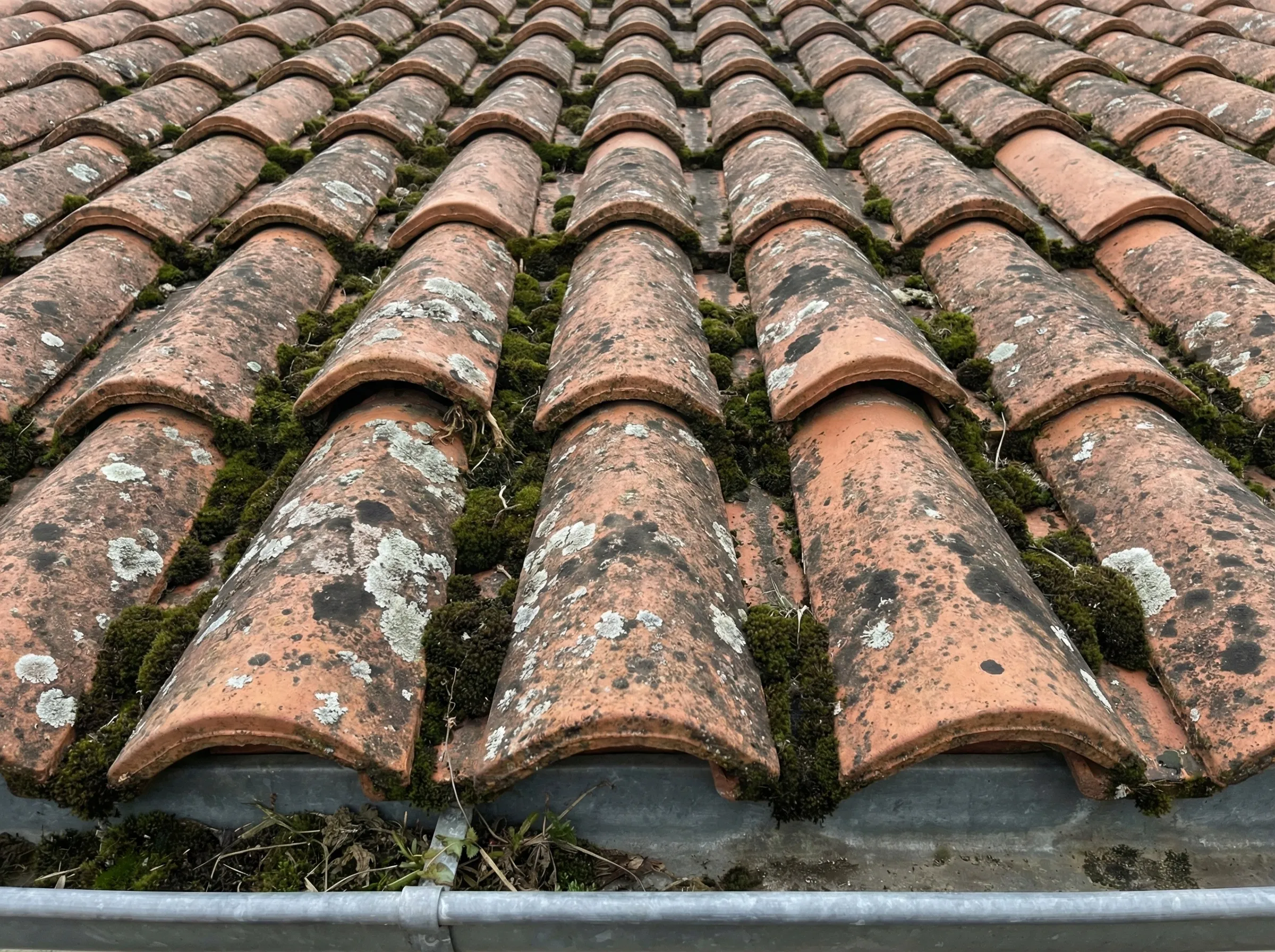 Toiture couverte de mousse et de lichens avant nettoyage à Pessac